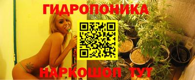 гидропоника Канаш