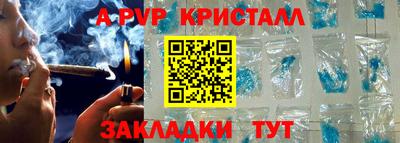 jwh Кингисепп