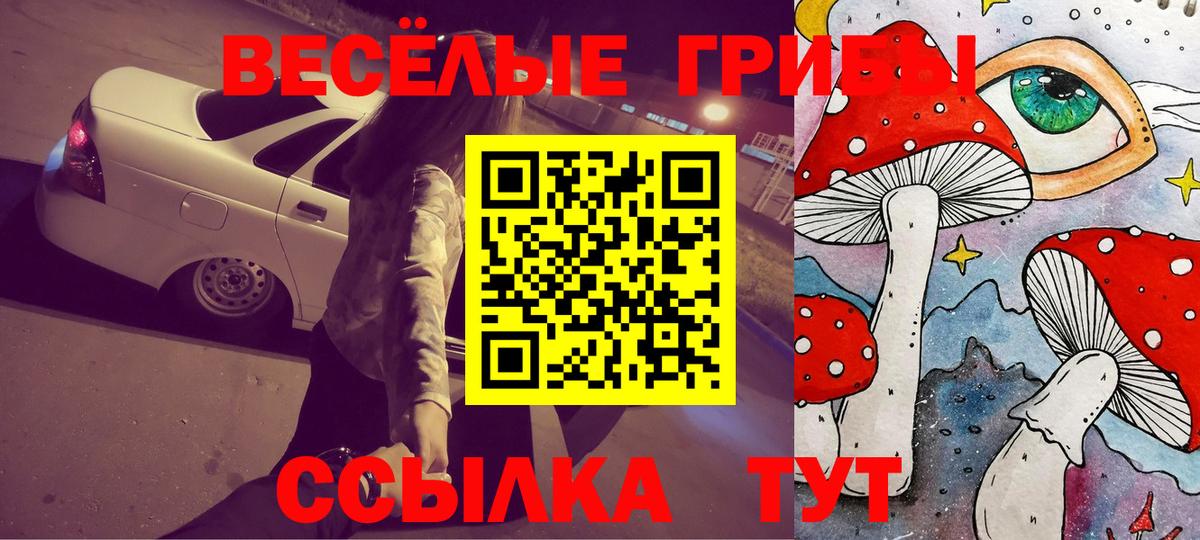 дарнет шоп  Псилоцибиновые грибы Magic Shrooms  Вход с VPN  Кудрово 